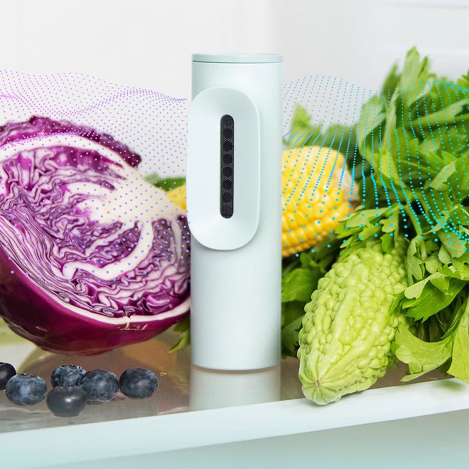 USB Fridge Deodorizer Rechargeable Refrigerator Deodorizer Efficient