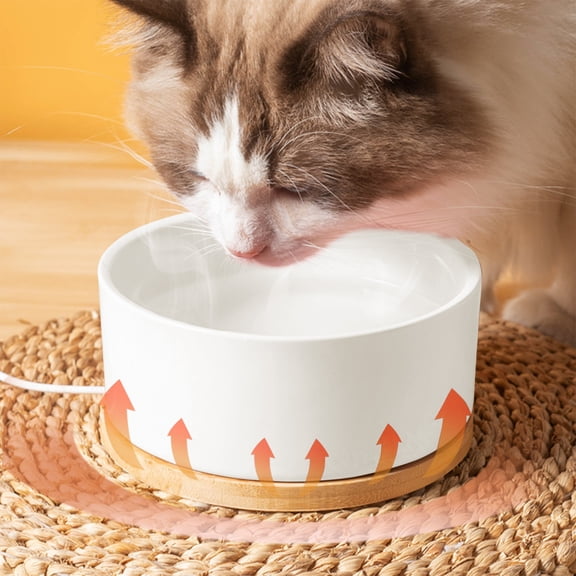 USB Heated Pet Water Bowl with Thermostatic Control | Ceramic Dog & Cat Bowl for Winter | 25-30°C Constant Temperature | Includes 1 Bowl & 1 Cable