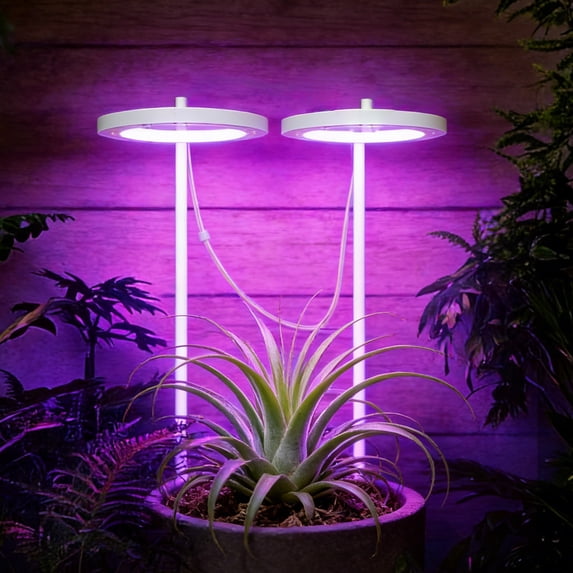 USB LED Ring Grow Light 3.5 Inch 3 Modes 5 Brightness Timer Full Spectrum Plant Lamp for Indoor Succulents Herbs Desk Shelf