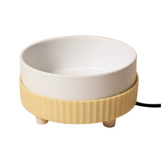 best standing dog bowls XL Raised Stainless Steel Dog Bowl Set for Large Dogs  NoKa&AuroraStone