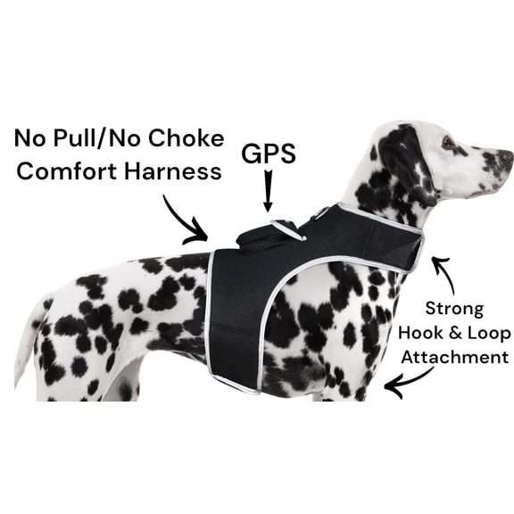 USB Rechargeable GPS GSM Dog Cat Collar Tracker Waterproof Pet Locator Size:S