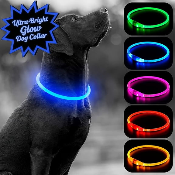 Teddy Run USB Rechargeable LED Dog Collar - Light Up Adjustable Pet Collar With 3 Modes, 360° Glow Safety Collar For Small/Medium/Large Dogs - TPU Cuttable Puppy Collar For Night Walking (Blue)