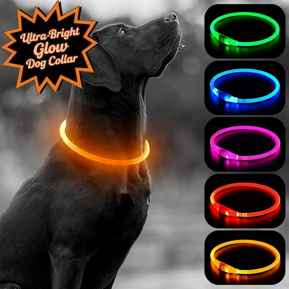 Teddy Run USB Rechargeable LED Dog Collar - Light Up Adjustable Pet Collar With 3 Modes, 360° Glow Safety Collar For Small/Medium/Large Dogs - TPU Cuttable Puppy Collar For Night Walking (Orange)