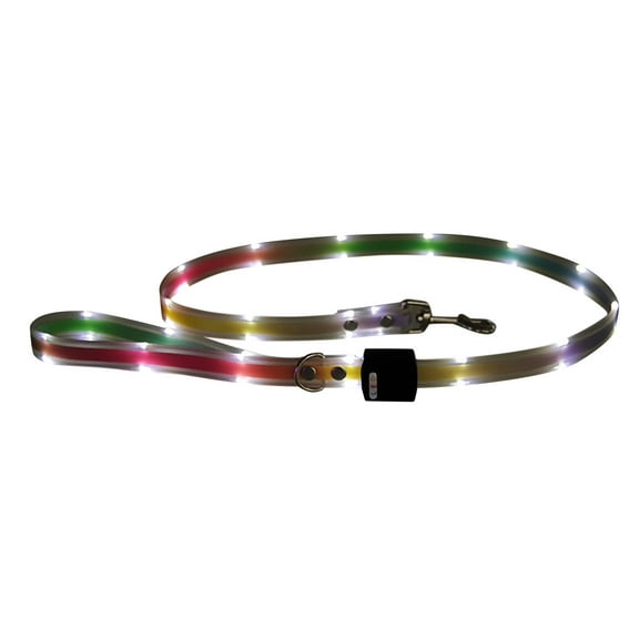 USB Rechargeable LED Dog Leash - 5FT Light Up Leash for Night Walking, Glow in The Dark Safety Lead with Reflective Stripes for Small Medium Large Dogs