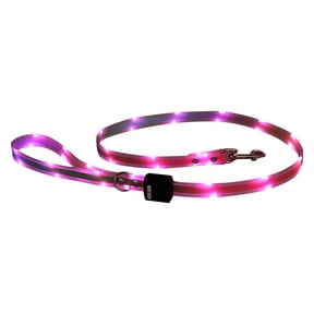 USB Rechargeable LED Dog Leash - 5FT Light Up Leash for Night Walking, Glow in The Dark Safety Lead with Reflective Stripes for Small Medium Large Dogs