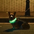 thumbnail image 1 of USB Rechargeable LED Dog Safety Collar with 3 Light Modes(Green), 1 of 8