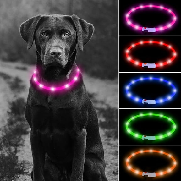 USB Rechargeable LED Light Up Dog Collars - 1 Cuttable Size Dog Collars for Large Dogs Medium Dogs Small Dogs ,Safety and Cool Neon Dog Collar for Dog Running and Walking at Night