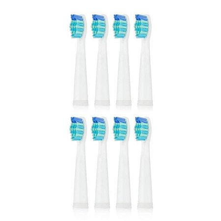 USB Rechargeable Sonic Toothbrush with 3 Brush Heads