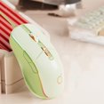 USB Wired Gaming Mouse Ergonomic RGB Backlit Green Mice Silent Optical