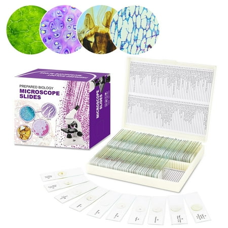 USCAMEL 100PCS Prepared Microscope Slides Set for Kids Adults, Glass Slides with Premade Specimen for School Home Program Include Plant, Insect, Animal Tissue