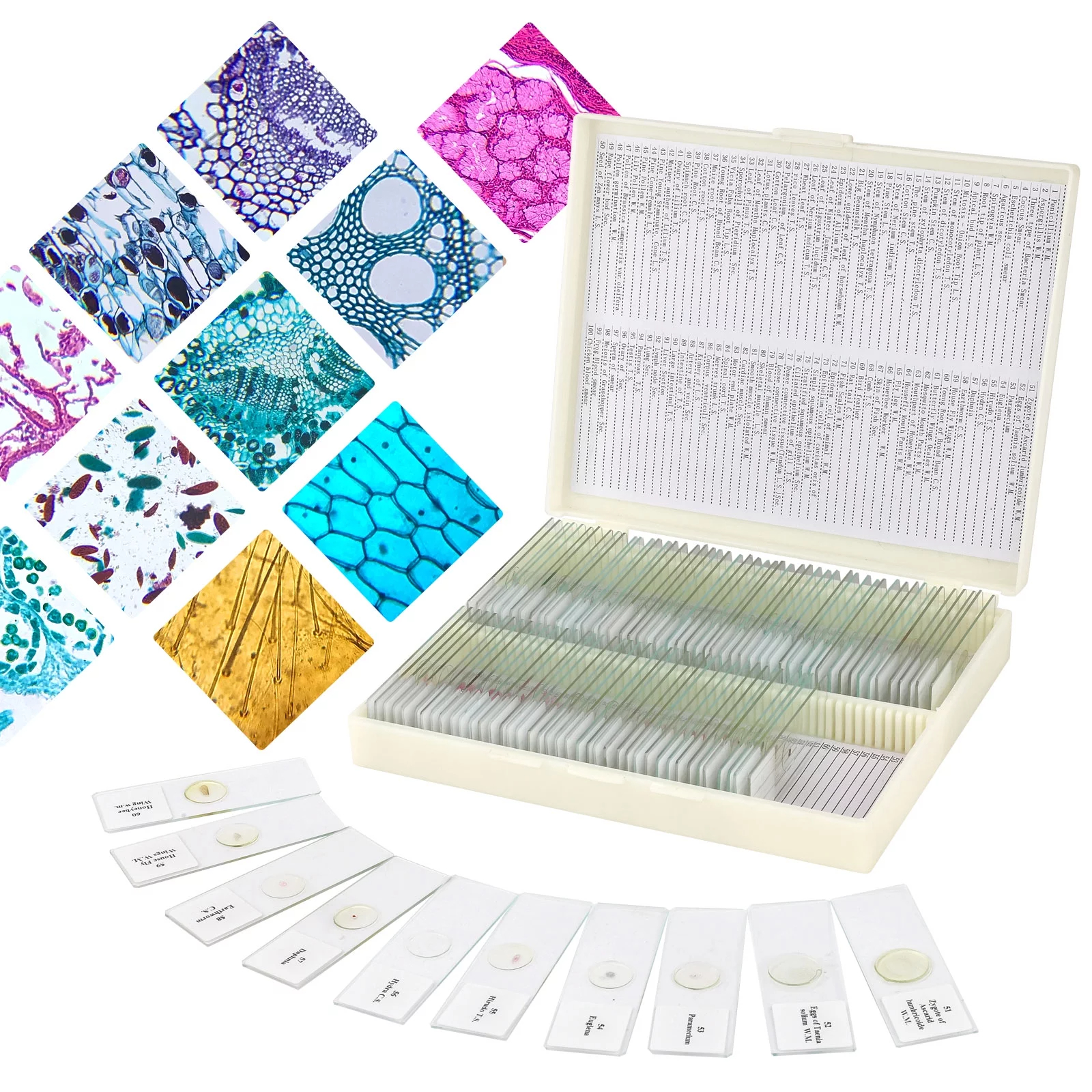 AmScope 50piece New PreCleaned Blank Microscope Slides and 100piece