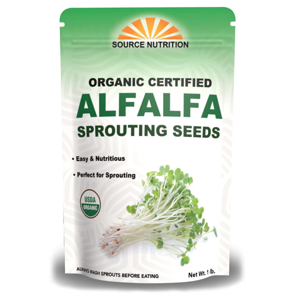 USDA Organic Alfalfa Sprouting DHF10 Seeds 1 Pound Perfect for