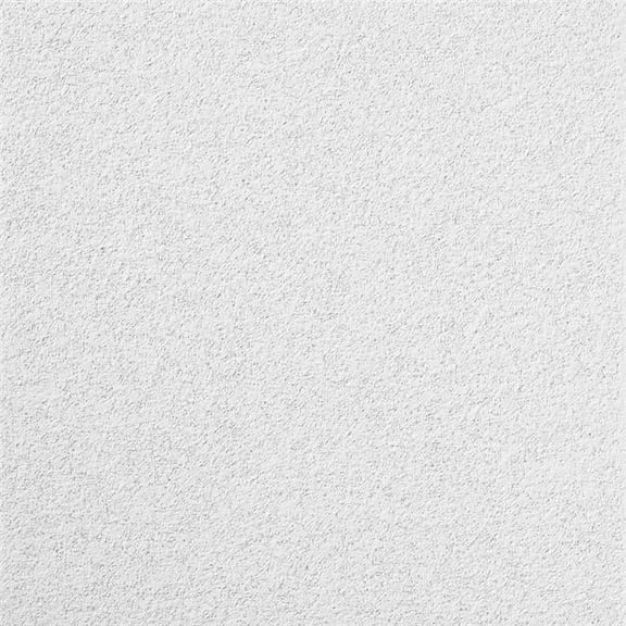 USG Ceilings Mars Non-Directional 0.75 in. L X 23.75 in. W 0.75 in. Shadow Line Tapered Ceiling Pane