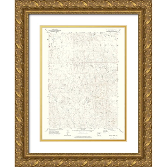 USGS 11x14 Gold Ornate Wood Framed with Double Matting Museum Art Print Titled - Double Tanks Wyoming Quad - USGS 1971