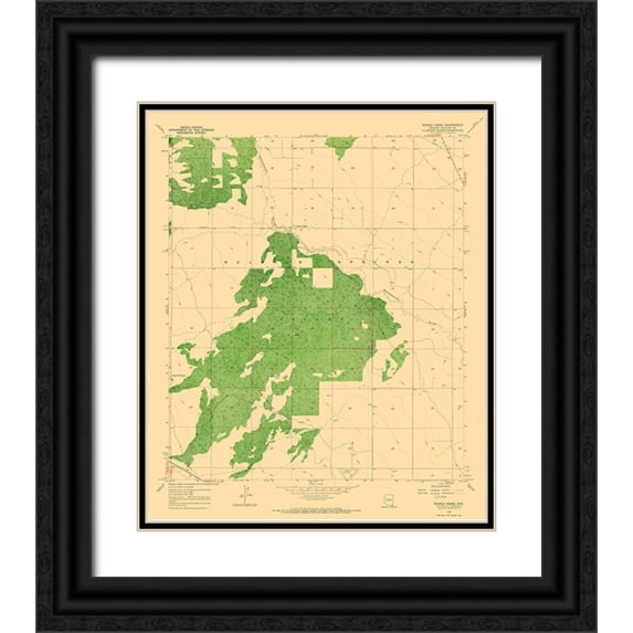 USGS 12x14 Black Ornate Wood Framed with Double Matting Museum Art Print Titled - Double Adobe Arizona Quad - USGS 1958