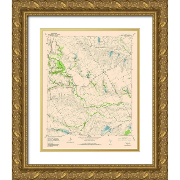 USGS 12x14 Gold Ornate Wood Framed with Double Matting Museum Art Print Titled - Avalon Texas Quad - USGS 1976