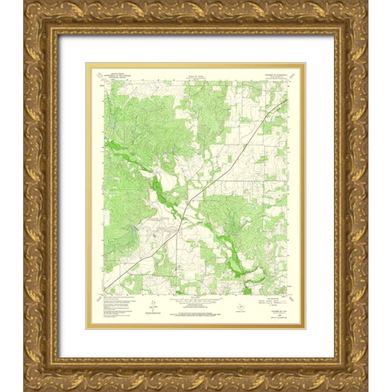 USGS 12x14 Gold Ornate Wood Framed with Double Matting Museum Art Print Titled - Coleman NE Texas Quad - USGS 1960