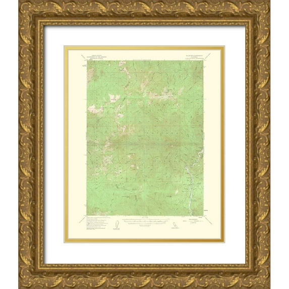 USGS 15x18 Gold Ornate Wood Framed with Double Matting Museum Art Print Titled - Dillon Mountain California Quad - USGS 1963