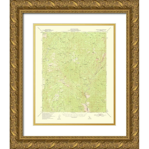 USGS 15x18 Gold Ornate Wood Framed with Double Matting Museum Art Print Titled - Shuteye Peak California Quad - USGS 1959