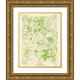 thumbnail image 1 of USGS 15x18 Gold Ornate Wood Framed with Double Matting Museum Art Print Titled - Thackeray Illinois Quad - USGS 1974, 1 of 4