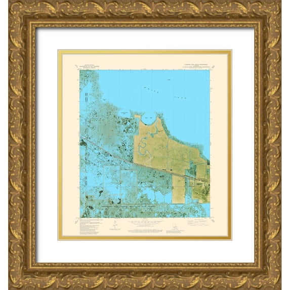 USGS 20x22 Gold Ornate Wood Framed with Double Matting Museum Art Print Titled - Floating Turf Bayou Louisiana Quad - USGS 1979