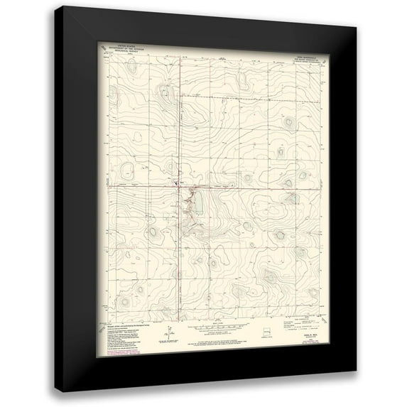 USGS 20x24 Black Modern Framed Museum Art Print Titled - Dora New Mexico Quad - USGS 1972