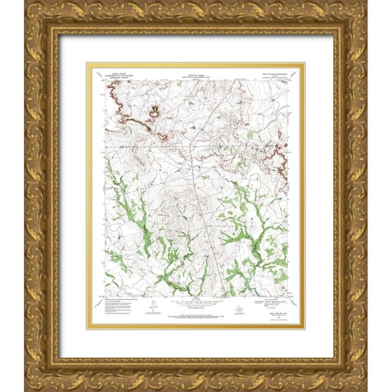USGS 20x24 Gold Ornate Wood Framed with Double Matting Museum Art Print Titled - Beal Hollow Texas Quad - USGS 1969