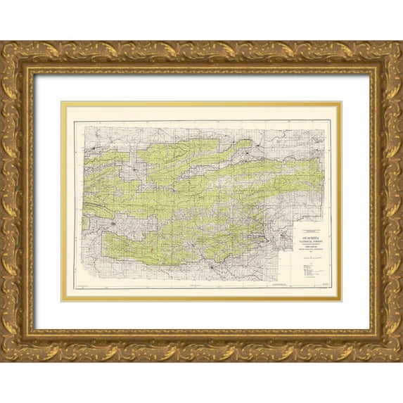 USGS 24x18 Gold Ornate Wood Framed with Double Matting Museum Art Print Titled - Ouachita National Forest Arkansas - USGS 1945