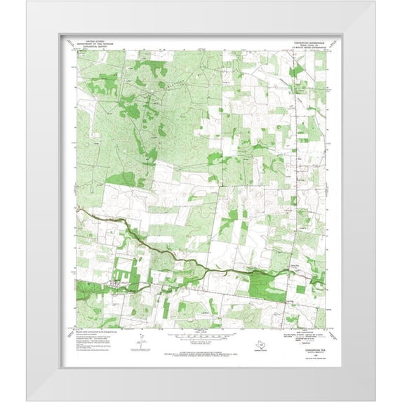 USGS 26x30 White Modern Wood Framed Museum Art Print Titled - Concepcion Texas Quad - USGS 1968