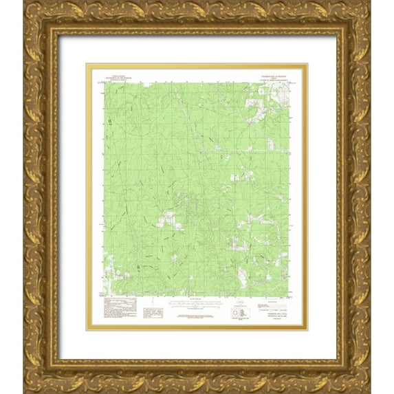 USGS 26x31 Gold Ornate Wood Framed with Double Matting Museum Art Print Titled - Chambliss Hill Teaxs Quad - USGS 1984