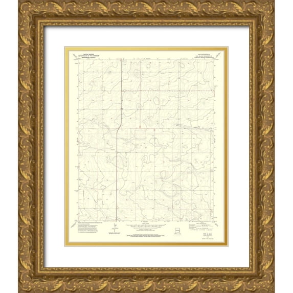 USGS 26x31 Gold Ornate Wood Framed with Double Matting Museum Art Print Titled - Pep New Mexico Quad - USGS 1972