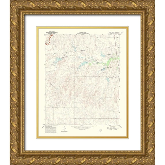 USGS 26x31 Gold Ornate Wood Framed with Double Matting Museum Art Print Titled - Young Ranch Texas Quad - USGS 1969