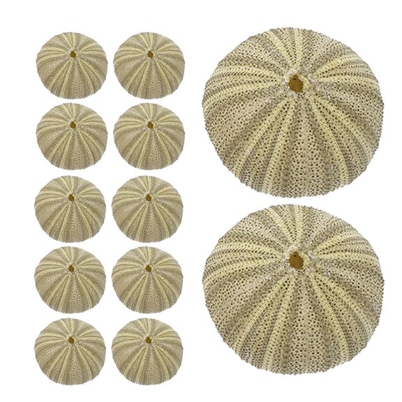 USHOBE 18Pcs Green Sea Urchin Shells for Artistic Vase Filler and Multifuntional Home Decor