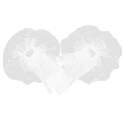 USHOBE Bride Lace Gloves White Nylon Plastic Lightweight Breathable Wedding Decor