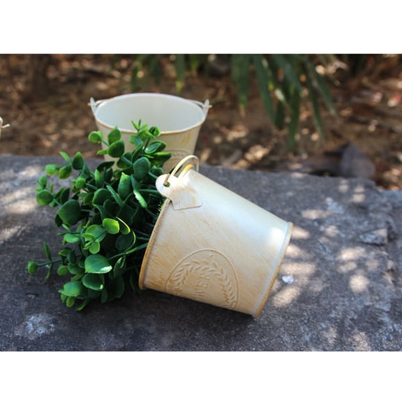 USHOBE 3Pcs Golden Iron Mini Bucket for Succulent Plants Home Decoration Flower Arrangement 11.8x2.6x3in
