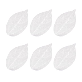 USHOBE White Skeleton Natural Leaves for Craft Projects and Decorations 6Pcs