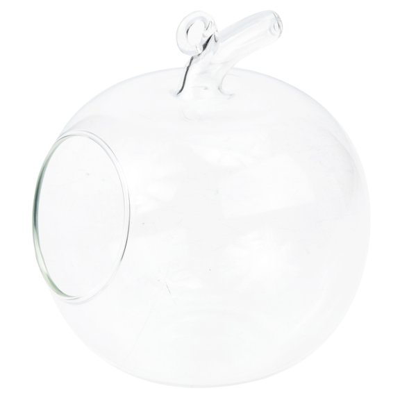 USHOBE Creative Apple Shape Glass Vase for Succulent and Flower Arrangement Decor