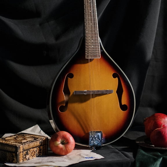 USHOBE Wooden Mandolin Bridge Replacement Durable Rosewood Instrument Part