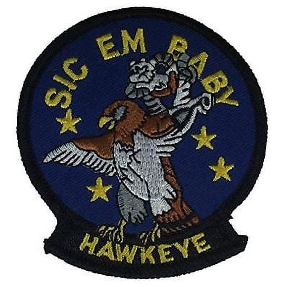 USN NAVY VAW-116 SQUADRON SIC EM BABY HAWKEYE PATCH E-2C SUN KINGS VETERAN