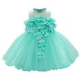 thumbnail image 1 of USNSM (6-24 Months) Toddler Girls Cute Flower Pearl Mesh Birthday Dress Spring Fall Casual Fashion Long Dresses Green 18-24 Months, 1 of 5