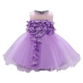thumbnail image 1 of USNSM (6-24 Months) Toddler Girls Cute Flower Pearl Mesh Birthday Dress Spring Fall Casual Fashion Long Dresses Purple 18-24 Months, 1 of 5