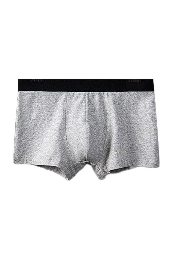 Men's Plus Size Underwear Casual Colorblocking Elastic Waist Breathable Home Boxer Briefs Gray XL