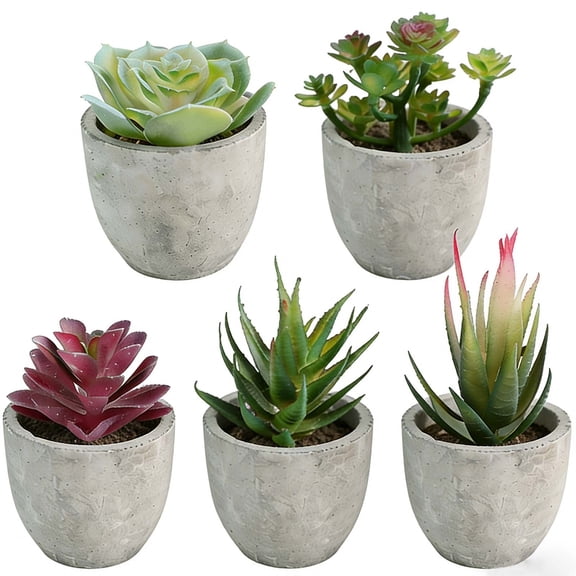 USPEED 5 Pcs Artificial Succulent Plants, Small Fake Desk Plants Mini Succulents Indoor for Shelf Living Room Bedroom Windowsills Office Home Decoration