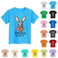 thumbnail image 1 of USSUMA Newborn Baby Girl Clothes Round Neck Short Sleeve Easter Bunny Prints Pullover Tee Tops Casual Blouse Loose Flowy Girls Shirts for Casual Gold 150 Sales, 1 of 6
