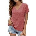 thumbnail image 1 of USSUMA Short Sleeve Womens Blouses and Tops Dressy Swiss Dot Solid Color Plus Womens Tops Casual Cute Basic Chiffon T-Shirts Shirt for Women Trendy V Neck Tunic Plus Size, 1 of 3