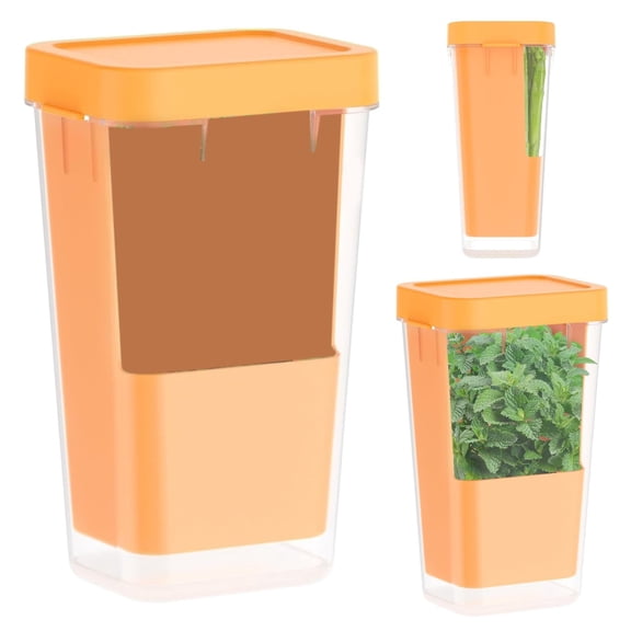 USUERY Plastic Asparagus Vegetable Fresh Herb Container For Refrigerator Extends Freshness Up To Times