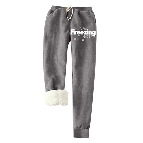 UTSJKR Women's Winter Warm Thickened Harem Pants Fleece Sweatpants with Pockets Drawstring Elastic Waist Fuzzy Sherpa Lined Thermal Trousers Joggers Bottoms Dark Gray 12