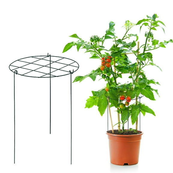 UUHYTG Peony Cages and Supports Set of 3, Metal Plant Support Frames for Flowers Tomatoes Roses, Heavy Duty Garden Stakes for Plant Growth Support Outdoor Yard Landscaping