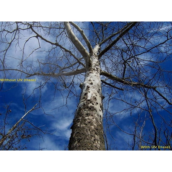 UV (Haze) 1A Multicoated | Multithreaded Glass Filter (52mm) For Canon EOS-M