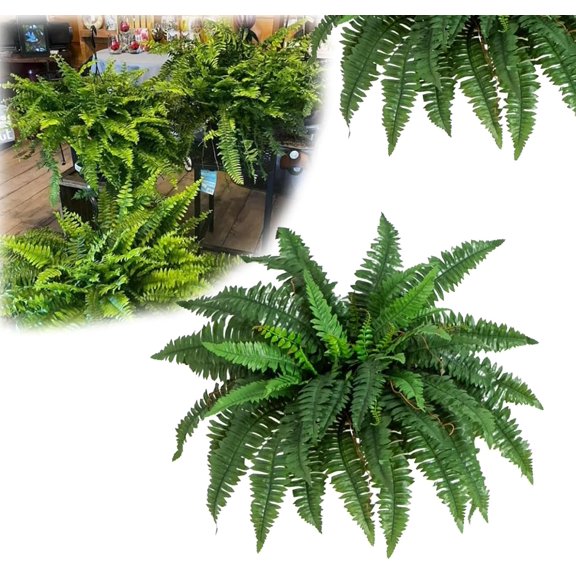UV Resistant Lifelike Artificial Boston Fern, 28/38/60/88 Artificial Ferns for Outdoors, Realistic Ferns Artificials Plants Large, Outdoor Fern That Look Real for Home Decor (28 Leaves,1pcs)